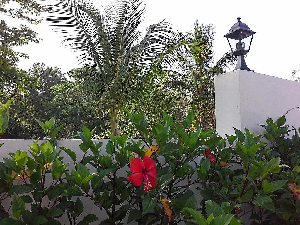 *** Bed & Breakfast La Casa De Sergio Y Cristina Las Terrenas Dominican Republic