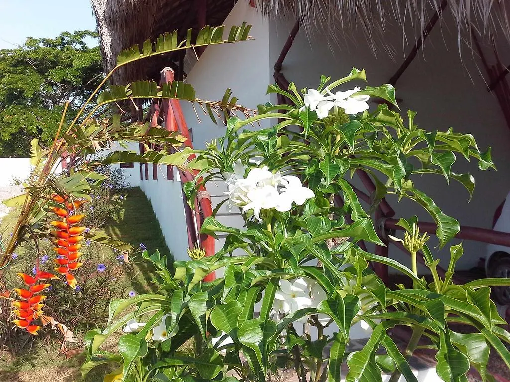 La Casa De Sergio Y Cristina Las Terrenas Dominican Republic
